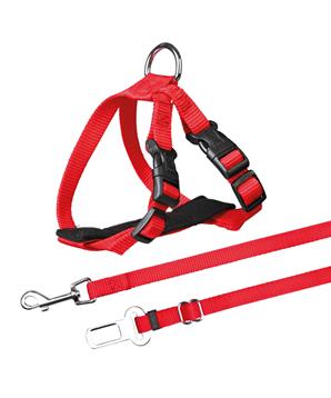 Postroj do auta pro kočku 20-50cm