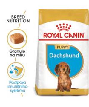 ROYAL CANIN Dachshund puppy