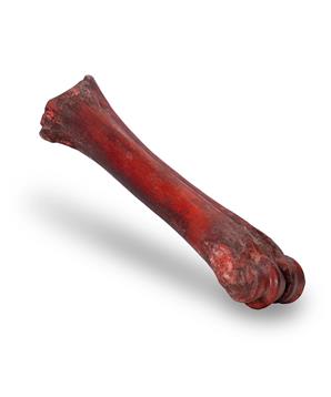 KIDDOG 100 % Natural Snack, hovězí uzená holenní kost