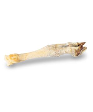 KIDDOG 100 % Natural Snack jehněčí nožka přírodní 