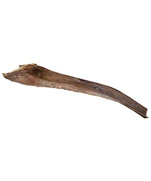 Papah wood - palmový list 50-65 cm pro plazy na lezení