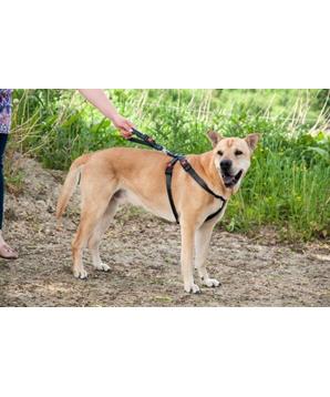 Karlie Bezpečnostní postroj do auta S 33-50cm x 25mm