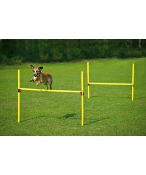 Karlie Agility překážka, žlutá