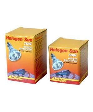 Lucky Reptile Halogen Sun 50W