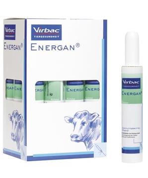 Energan Ketose pst 