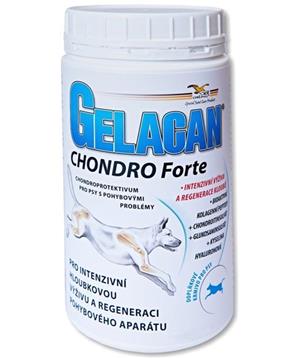 Gelacan Chondro Forte 