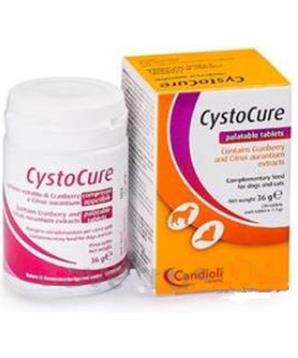 Cystocure forte 
