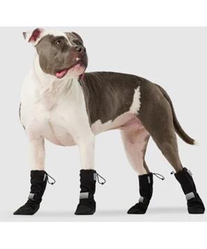 Botičky sada Canada Pooch 2 černé