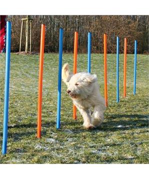 AGILITY Slalom, tyče 12ks