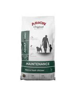 ARION ORIGINAL MAINTENANCE GIANT