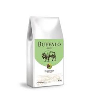 BOHEMIA WILD Adult Buffalo