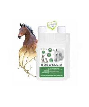 Dromy BOSWELLIA Serrata liq.