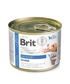 Brit VD Dog+Cat GF konz Recovery 