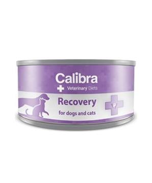Calibra VD Dog & Cat konz. Recovery