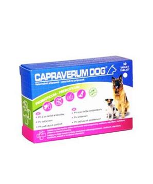 CAPRAVERUM DOG probioticum-prebioticum 