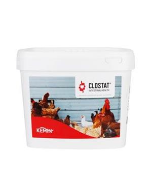 Clostat HC SP Dry plv 