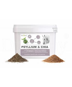 Dromy Psyllium + Chia