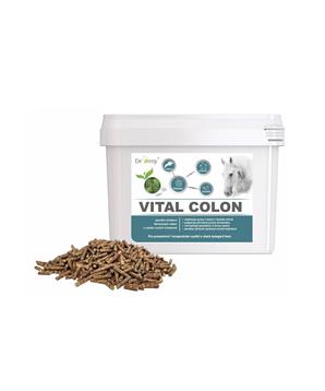 Dromy Vital Colon