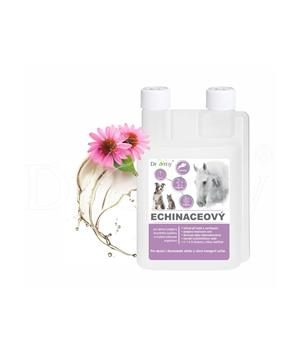Dromy Echinaceový sirup
