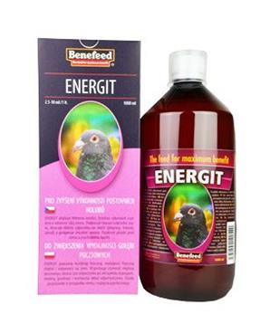 Energit holubi