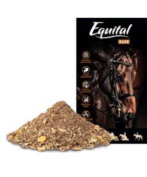 Equital Mash pro koně