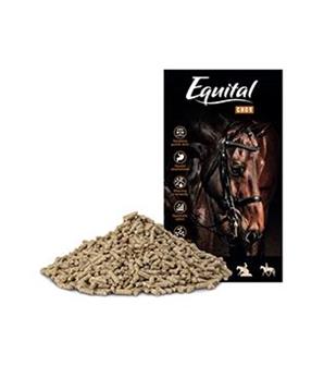 Equital Chov pro koně 