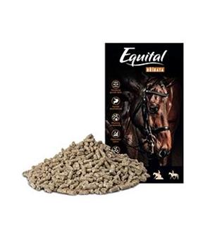 Equital Hříbata 