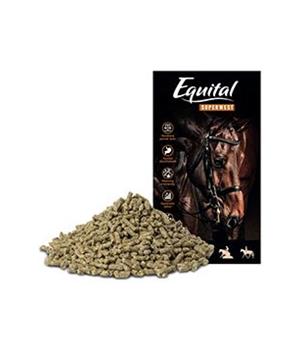 Equital Superwest pro koně 