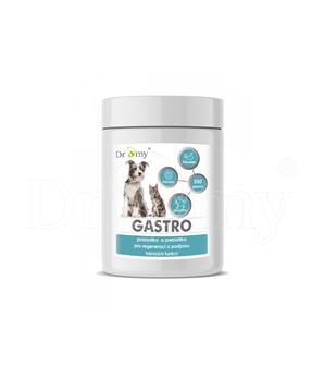 Dromy Gastro