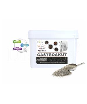 Dromy GastroAkut