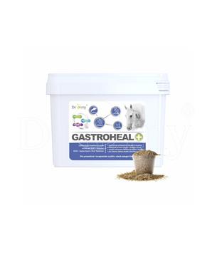 Dromy GastroHeal MASH