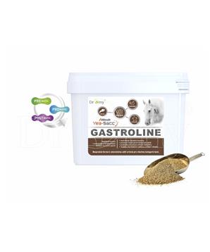 Dromy Gastroline