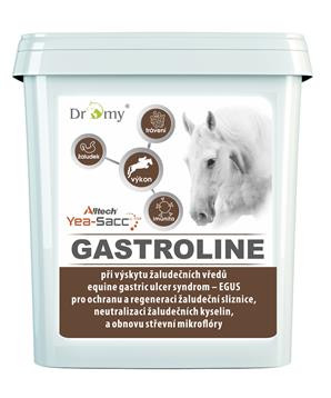 Dromy Gastroline