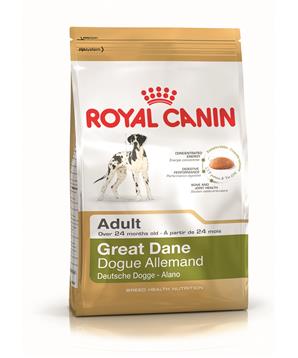 ROYAL CANIN Great Dane Adult