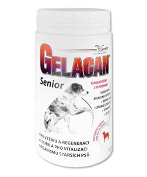 Gelacan Senior