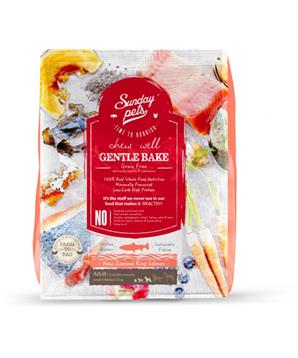 GENTLE BAKE SALMON ADULT SMALL/MEDIUM BREED