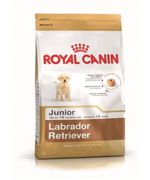 ROYAL CANIN Labrador Retriever Junior