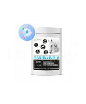 Dromy Magnesium B