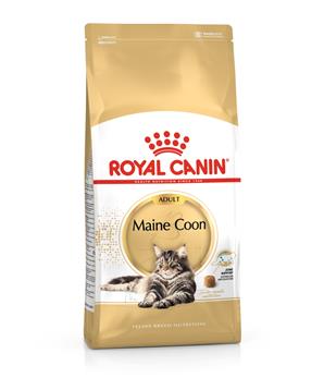 ROYAL CANIN Maine Coon