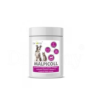 Dromy Malpicoll