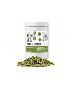 Dromy NordicKelp