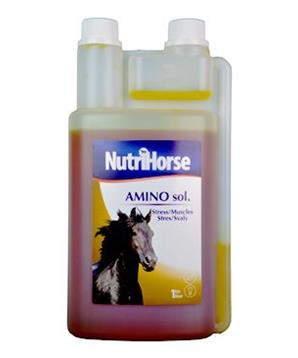 Nutri Horse Amino sol. 