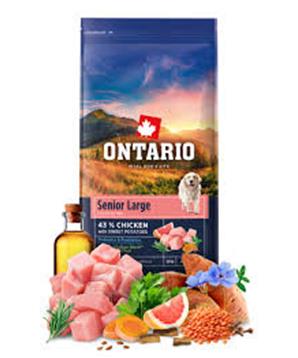 Ontario Senior Large Chicken & Sweet Potatoes