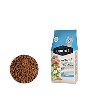 OWNAT CLASSIC CAT Kitten