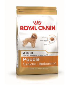 ROYAL CANIN Poodle Adult