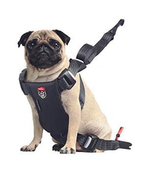 Postroj TRAVEL SAFE S Isofix černý Zolux