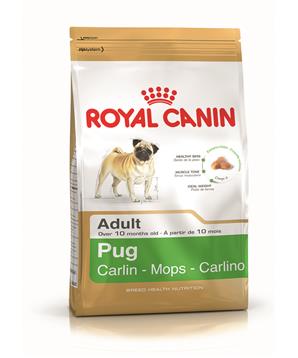 ROYAL CANIN Pug Adult