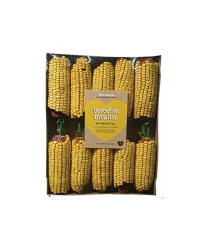 Rosewood Kukuřičné klasy display 10 ks