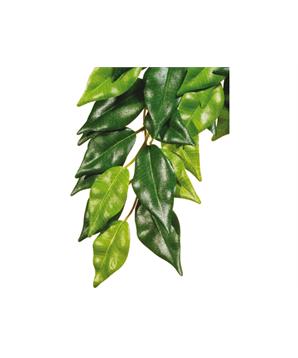 Rostlina EXO TERRA Ficus