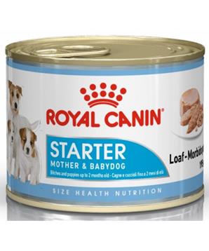 Royal Canin Starter Mousse konzerva